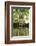 Eastern Fox Squirrel, Sciurus Niger, drinking, Hill Country, Texas, USA-Rolf Nussbaumer-Framed Photographic Print