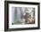 Eastern gray squirrel, Florida-Adam Jones-Framed Photographic Print