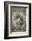 Eastern gray squirrel, Kentucky-Adam Jones-Framed Photographic Print