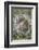 Eastern gray squirrel, Kentucky-Adam Jones-Framed Photographic Print