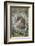 Eastern gray squirrel, Kentucky-Adam Jones-Framed Photographic Print