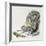 Eastern Gray Squirrel (Sciurus Carolinensis), Sciuridae-null-Framed Giclee Print