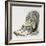 Eastern Gray Squirrel (Sciurus Carolinensis), Sciuridae-null-Framed Giclee Print