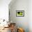 Eastern Green Mamba (Dendroaspis Angusticeps) Head Portrait, Captive, From East Africa-Edwin Giesbers-Framed Photographic Print displayed on a wall