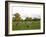 Eastern Grey Kangaroo, (Macropus Giganteus), Anglesea, Great Ocean Road, Victoria, Australia-Thorsten Milse-Framed Photographic Print