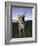 Eastern Grey Kangaroo, (Macropus Giganteus), Pebbly Beach, New South Wales, Australia-Thorsten Milse-Framed Photographic Print