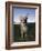 Eastern Grey Kangaroo, (Macropus Giganteus), Pebbly Beach, New South Wales, Australia-Thorsten Milse-Framed Photographic Print