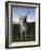 Eastern Grey Kangaroo, (Macropus Giganteus), Pebbly Beach, New South Wales, Australia-Thorsten Milse-Framed Photographic Print