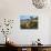 Eastern Grey Kangaroo on Beach, Murramarang National Park, New South Wales, Australia-Steve & Ann Toon-Photographic Print displayed on a wall