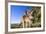 Eastern Grey Kangaroo Super Wide Angle Shot Of-null-Framed Photographic Print
