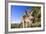 Eastern Grey Kangaroo Super Wide Angle Shot Of-null-Framed Photographic Print