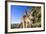 Eastern Grey Kangaroo Super Wide Angle Shot Of-null-Framed Photographic Print