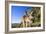 Eastern Grey Kangaroo Super Wide Angle Shot Of-null-Framed Photographic Print