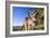 Eastern Grey Kangaroo Super Wide Angle Shot Of-null-Framed Photographic Print