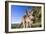 Eastern Grey Kangaroo Super Wide Angle Shot Of-null-Framed Photographic Print