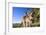 Eastern Grey Kangaroo Super Wide Angle Shot Of-null-Framed Photographic Print