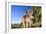 Eastern Grey Kangaroo Super Wide Angle Shot Of-null-Framed Photographic Print