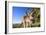 Eastern Grey Kangaroo Super Wide Angle Shot Of-null-Framed Photographic Print