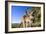 Eastern Grey Kangaroo Super Wide Angle Shot Of-null-Framed Photographic Print