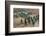 Eastern Han Dynasty Bronze Cavalry and Chariots-null-Framed Photographic Print