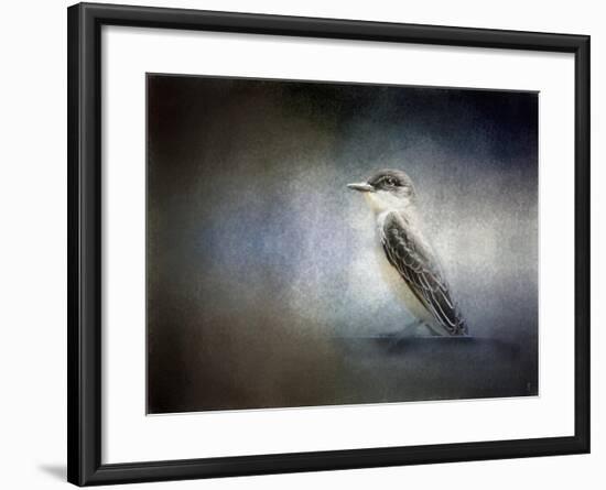 Eastern Kingbird Portrait-Jai Johnson-Framed Giclee Print