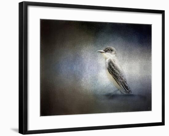 Eastern Kingbird Portrait-Jai Johnson-Framed Giclee Print