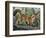 Eastern Lowland Olingo (Bassaricyon Alleni), Procyonidae-null-Framed Giclee Print