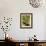 Eastern Meadowlark-Adam Jones-Framed Photographic Print displayed on a wall