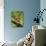 Eastern Meadowlark-Adam Jones-Photographic Print displayed on a wall