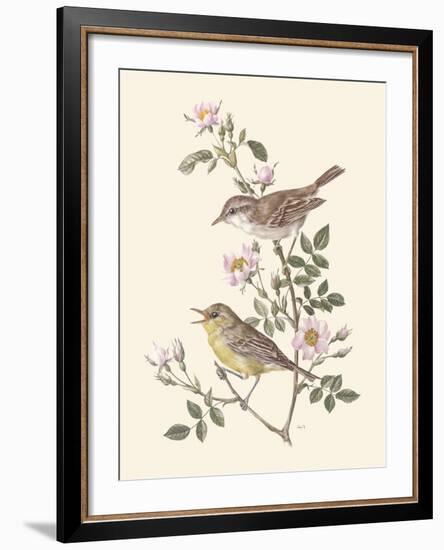 Eastern Olivaceous and Icterine Warblers-Anatole Marlin-Framed Giclee Print