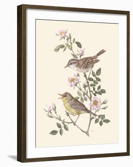 Eastern Olivaceous and Icterine Warblers-Anatole Marlin-Framed Giclee Print