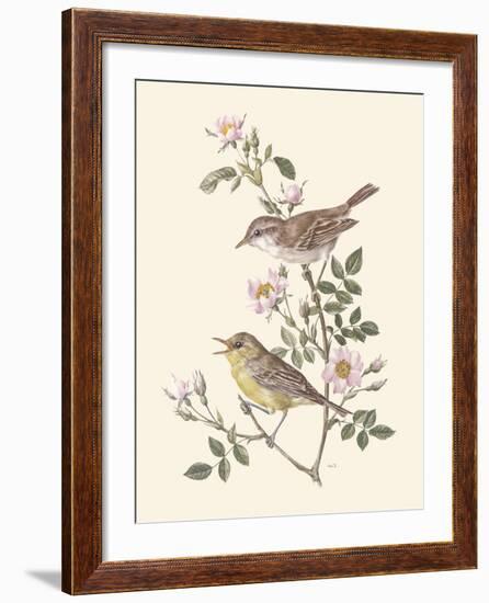 Eastern Olivaceous and Icterine Warblers-Anatole Marlin-Framed Giclee Print