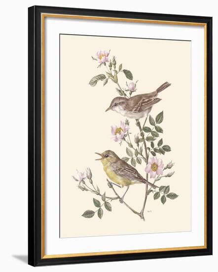 Eastern Olivaceous and Icterine Warblers-Anatole Marlin-Framed Giclee Print