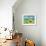 Eastern Plains Sunflower-Jennifer Frances Azadmanesh-Framed Giclee Print displayed on a wall