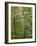 Eastern Redbud and Flowering Dogwood, Arlington County, Virginia, USA-Charles Gurche-Framed Photographic Print
