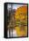 Eastern Sierra, Bishop Creek, California Outlet and Fall Color-Michael Qualls-Framed Premier Image Canvas
