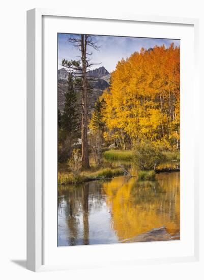 Eastern Sierra, Bishop Creek, California Outlet and Fall Color-Michael Qualls-Framed Photographic Print
