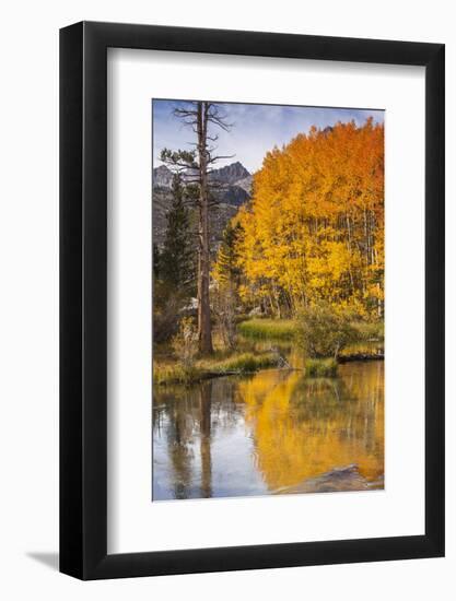 Eastern Sierra, Bishop Creek, California Outlet and Fall Color-Michael Qualls-Framed Photographic Print