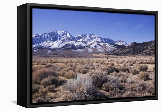 Eastern Sierra I-Rita Crane-Framed Premier Image Canvas