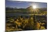 Eastern Sierra I-Mark Geistweite-Mounted Photographic Print