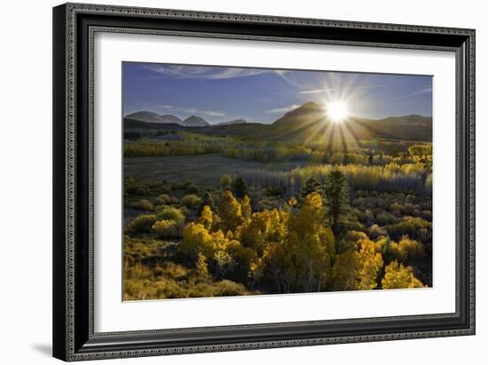 Eastern Sierra I-Mark Geistweite-Framed Photographic Print