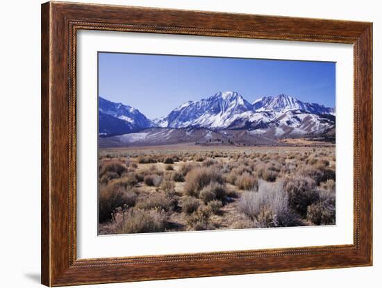 Eastern Sierra II-Rita Crane-Framed Photographic Print