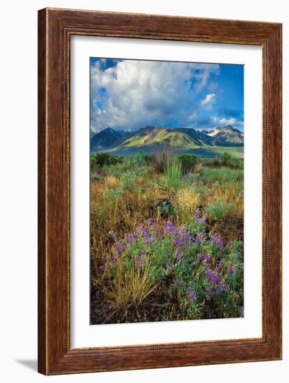 Eastern Sierra III-Mark Geistweite-Framed Photographic Print