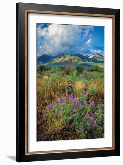 Eastern Sierra III-Mark Geistweite-Framed Photographic Print