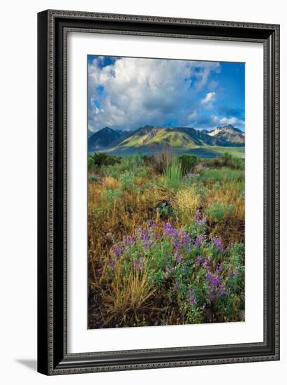 Eastern Sierra III-Mark Geistweite-Framed Photographic Print