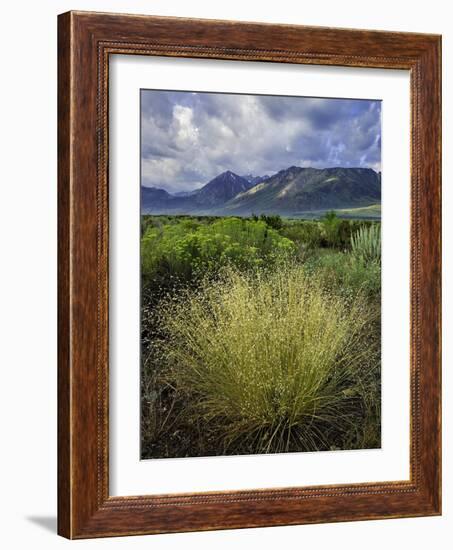 Eastern Sierra IV-Mark Geistweite-Framed Photographic Print