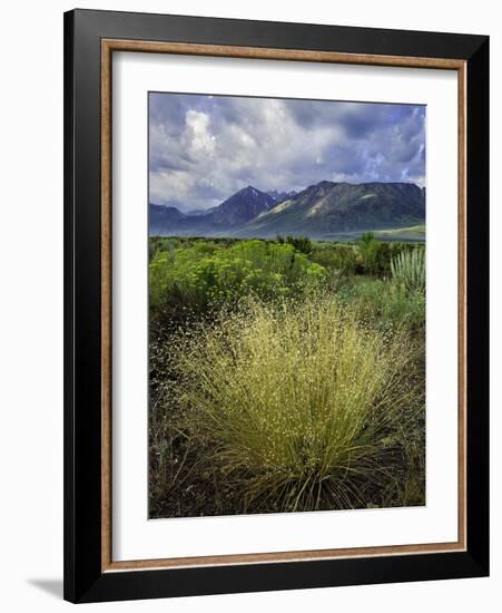 Eastern Sierra IV-Mark Geistweite-Framed Photographic Print