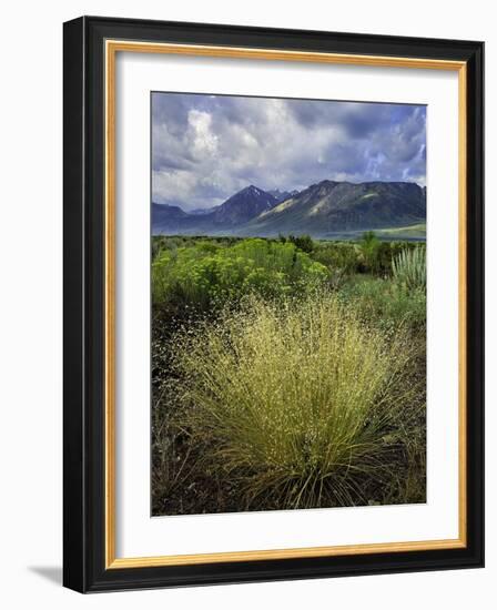 Eastern Sierra IV-Mark Geistweite-Framed Photographic Print