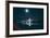 Eastern Span Bay Bridge Under Moonlight, Oakland-null-Framed Photographic Print