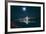 Eastern Span Bay Bridge Under Moonlight, Oakland-null-Framed Photographic Print